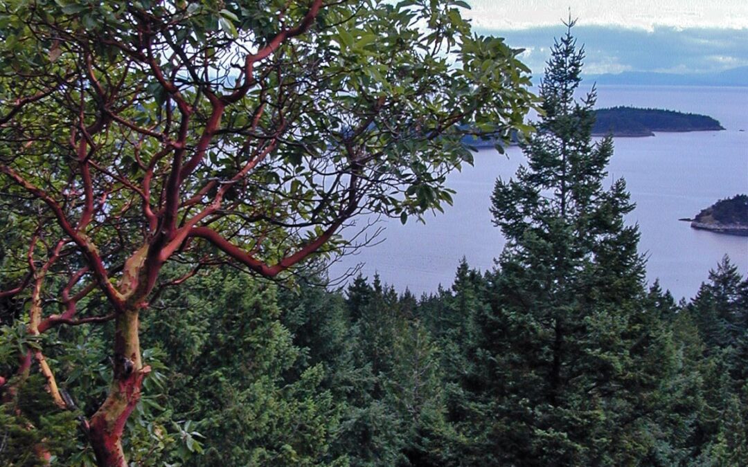 Howe Sound, Keats Island, BC Canada