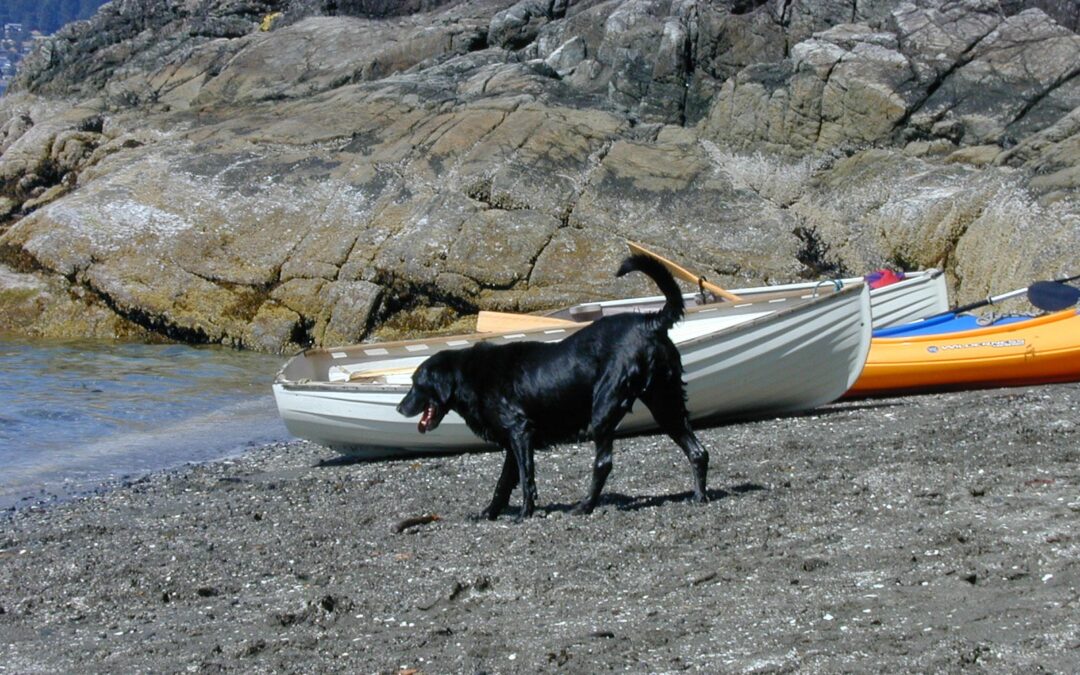 Dog-Day Afternoon, Keats Island, BC Canada