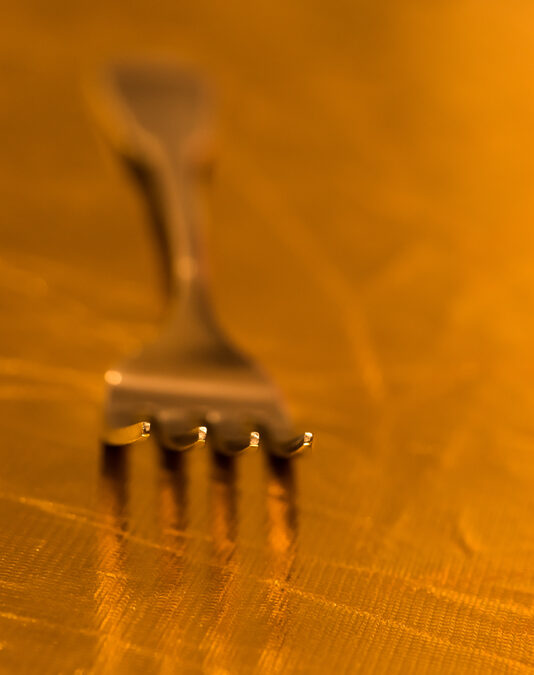 Fork on Reflector – Macro